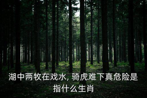 湖中兩牧在戲水, 騎虎難下真危險(xiǎn)是指什么生肖