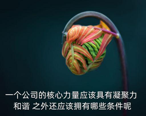 一個公司的核心力量應(yīng)該具有凝聚力 和諧 之外還應(yīng)該擁有哪些條件呢