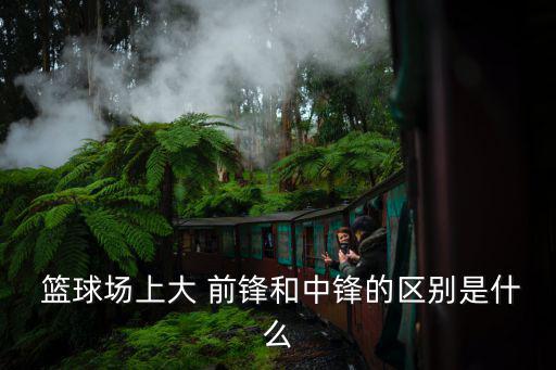  籃球場上大 前鋒和中鋒的區(qū)別是什么