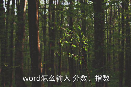 word怎么輸入 分?jǐn)?shù)、指數(shù)