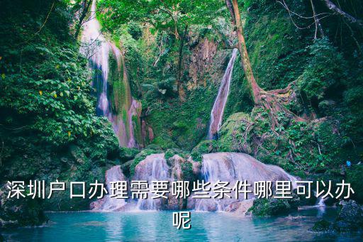 深圳戶口辦理需要哪些條件哪里可以辦呢