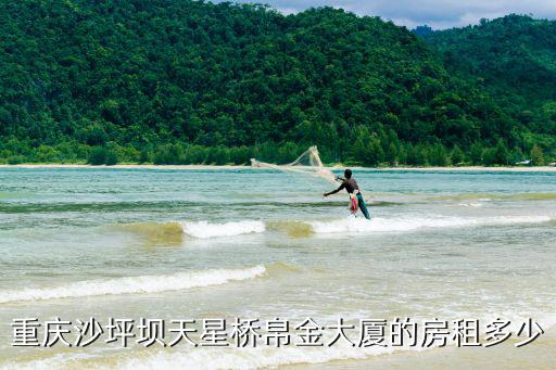 重慶沙坪壩天星橋帛金大廈的房租多少