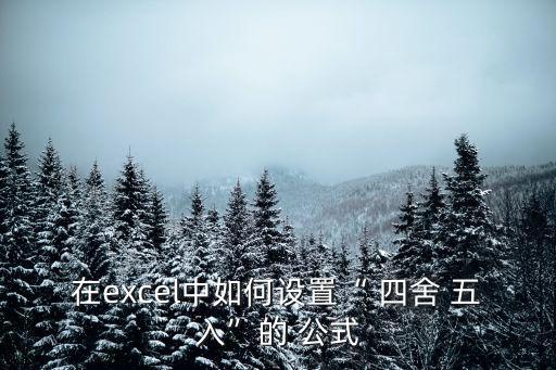 在excel中如何設置“ 四舍 五入”的 公式