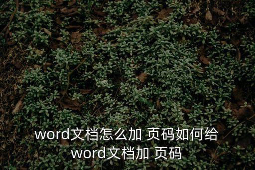  word文檔怎么加 頁碼如何給 word文檔加 頁碼