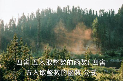  四舍 五入取整數的函數( 四舍 五入取整數的函數 公式