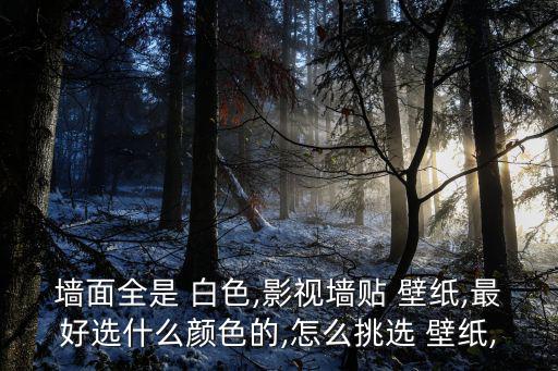 墻面全是 白色,影視墻貼 壁紙,最好選什么顏色的,怎么挑選 壁紙,