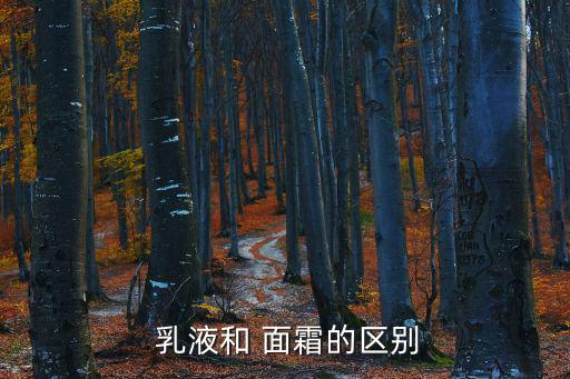  乳液和 面霜的區別