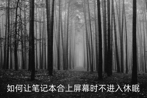 如何讓筆記本合上屏幕時不進入休眠