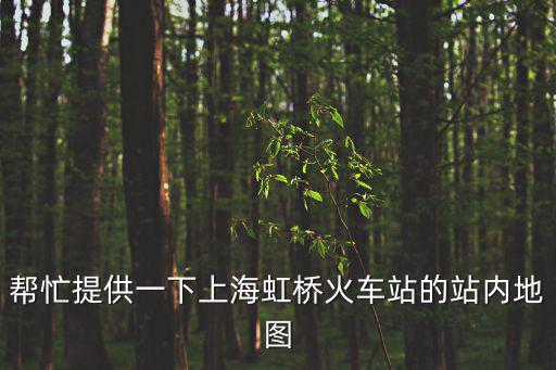 幫忙提供一下上海虹橋火車站的站內(nèi)地圖