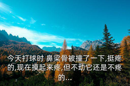 今天打球時 鼻梁骨被撞了一下,挺疼的,現(xiàn)在摸起來疼,但不動它還是不疼的...