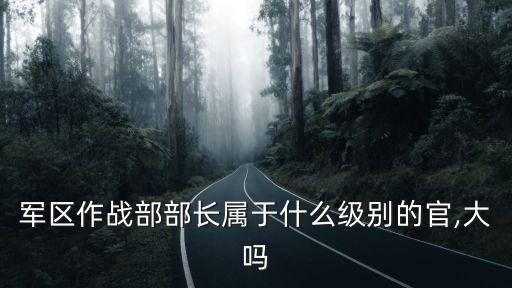 軍區作戰部部長屬于什么級別的官,大嗎