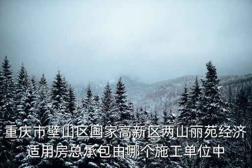 重慶市壁山區國家高新區兩山麗苑經濟適用房總承包由哪個施工單位中