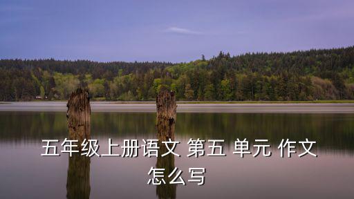 五年級(jí)第五單元作文,第一集:貓咪眼睛隨環(huán)境而變化