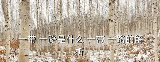  一帶 一路是什么 一帶 一路的解析