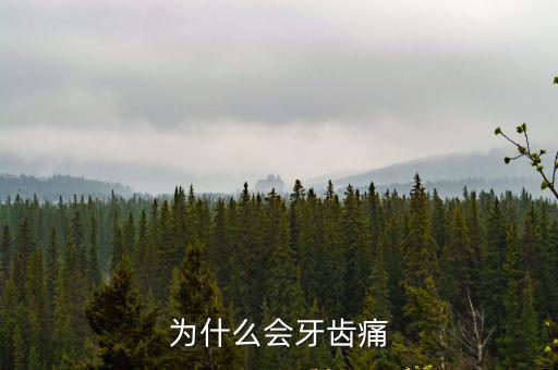 為什么會(huì)牙疼,上火后細(xì)菌迅速滋生牙齒會(huì)感到牙痛
