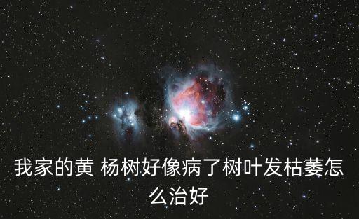 楊樹潰瘍病,春季干旱易導致楊樹潰瘍病發生