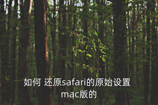 如何 還原safari的原始設置 mac版的