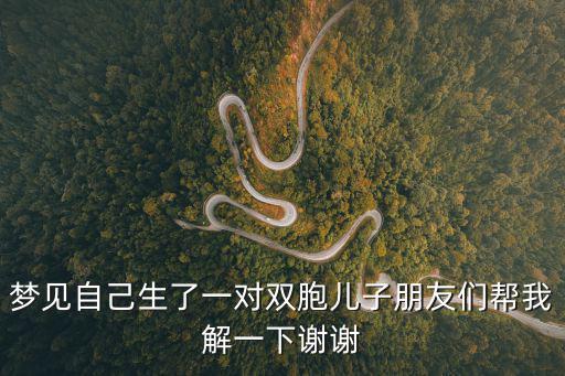 夢(mèng)見自己生了一對(duì)雙胞兒子朋友們幫我解一下謝謝