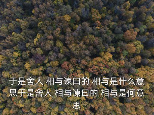 相與,相與走在中庭一句話的意思