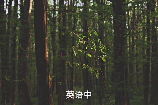 夫人英文,【妻子》第二集:妻子的英文譯名:淑女；夫人