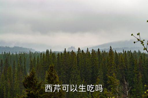 芹菜能生吃嗎,蔬菜可以生吃但是營養(yǎng)價值更高