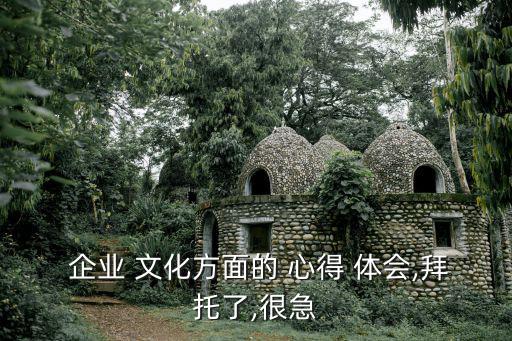 企業(yè)文化心得體會(huì),經(jīng)過閱讀和練習(xí)寫出來(lái)的心得體會(huì)