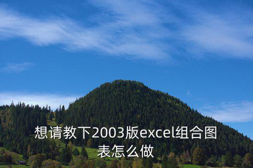 想請教下2003版excel組合圖表怎么做
