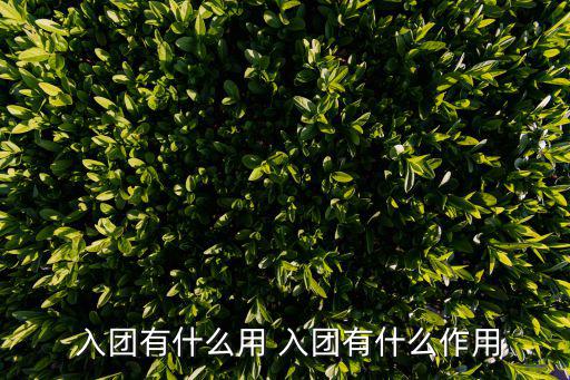  入團有什么用 入團有什么作用