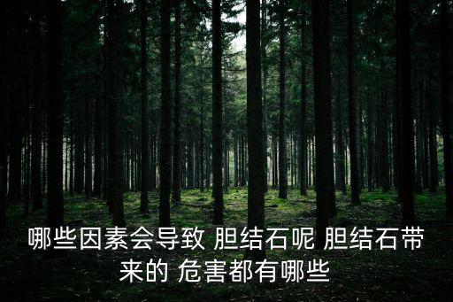 哪些因素會(huì)導(dǎo)致 膽結(jié)石呢 膽結(jié)石帶來(lái)的 危害都有哪些