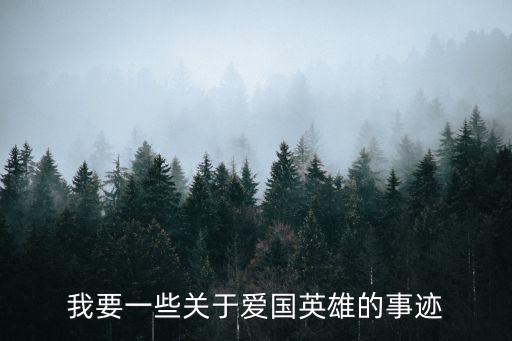我要一些關(guān)于愛(ài)國(guó)英雄的事跡