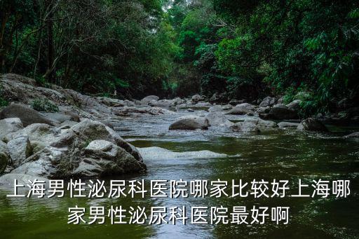 上海男性泌尿科醫院哪家比較好上海哪家男性泌尿科醫院最好啊