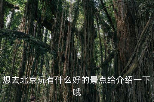 想去北京玩有什么好的景點給介紹一下哦