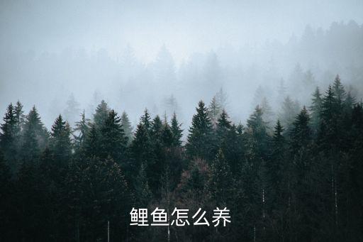 鯉魚怎么養