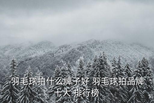  羽毛球拍什么牌子好 羽毛球拍品牌十大 排行榜