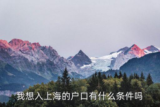 我想入上海的戶口有什么條件嗎