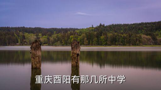 重慶酉陽有那幾所中學