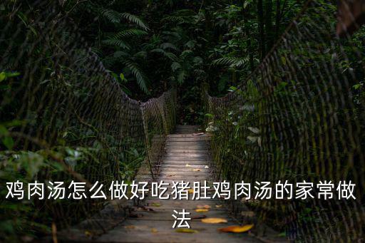 雞肉湯怎么做好吃豬肚雞肉湯的家常做法