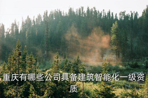 重慶有哪些公司具備建筑智能化一級資質