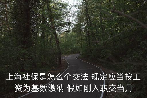 上海社保是怎么個交法 規定應當按工資為基數繳納 假如剛入職交當月
