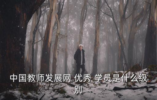 優秀學員,獲頒高等學校骨干教師培訓證書優秀學員是榮譽稱號