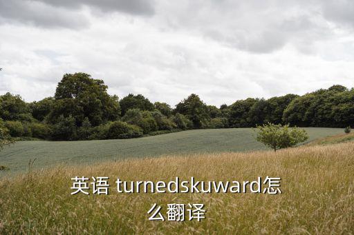 英語 turnedskuward怎么翻譯