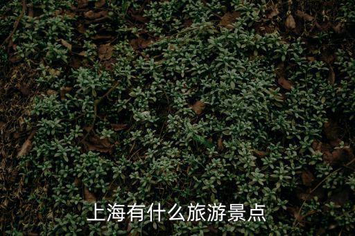 上海有什么旅游景點