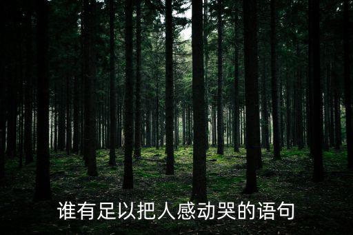 感動到哭的句子，求讓人感動落淚的句子