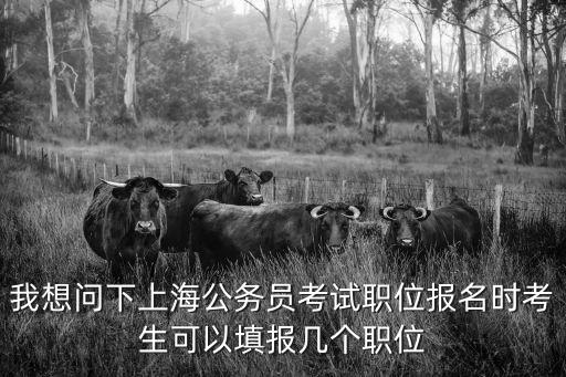 我想問(wèn)下上海公務(wù)員考試職位報(bào)名時(shí)考生可以填報(bào)幾個(gè)職位