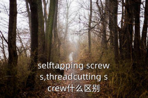 selftapping screws,threadcutting screw什么區別