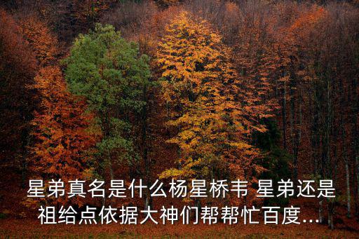 星弟,星弟當(dāng)導(dǎo)演小賤人在歌詞中發(fā)展