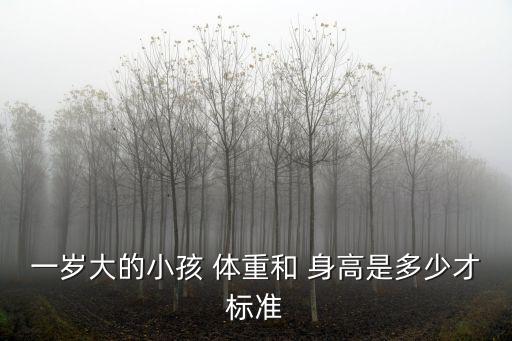 一歲大的小孩 體重和 身高是多少才標(biāo)準(zhǔn)