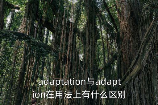  adaptation與adaption在用法上有什么區別