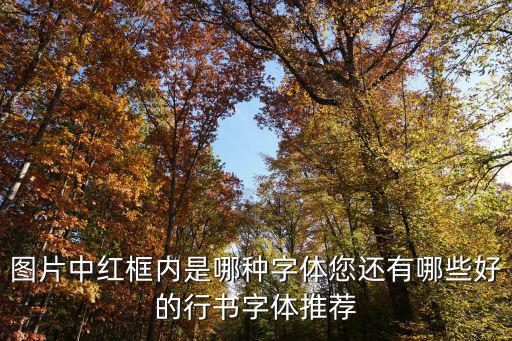 圖片中紅框內(nèi)是哪種字體您還有哪些好的行書字體推薦