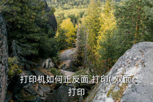  打印機(jī)如何正反面 打印( 雙面 打印